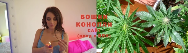 a pvp Заводоуковск