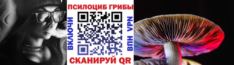 Псилоцибиновые грибы ЛСД  MEGA зеркало  Лукоянов  где найти наркотики 